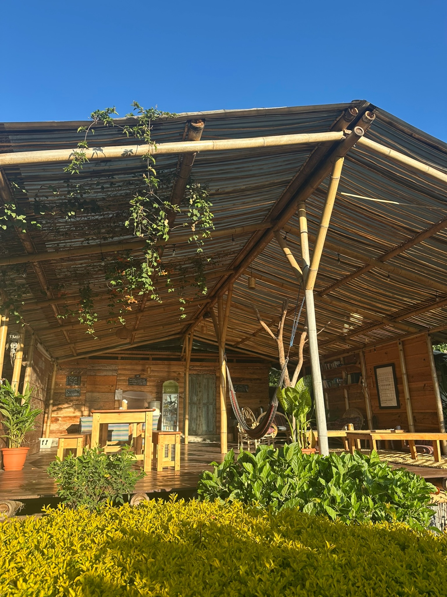 Buddha Cafe gardens