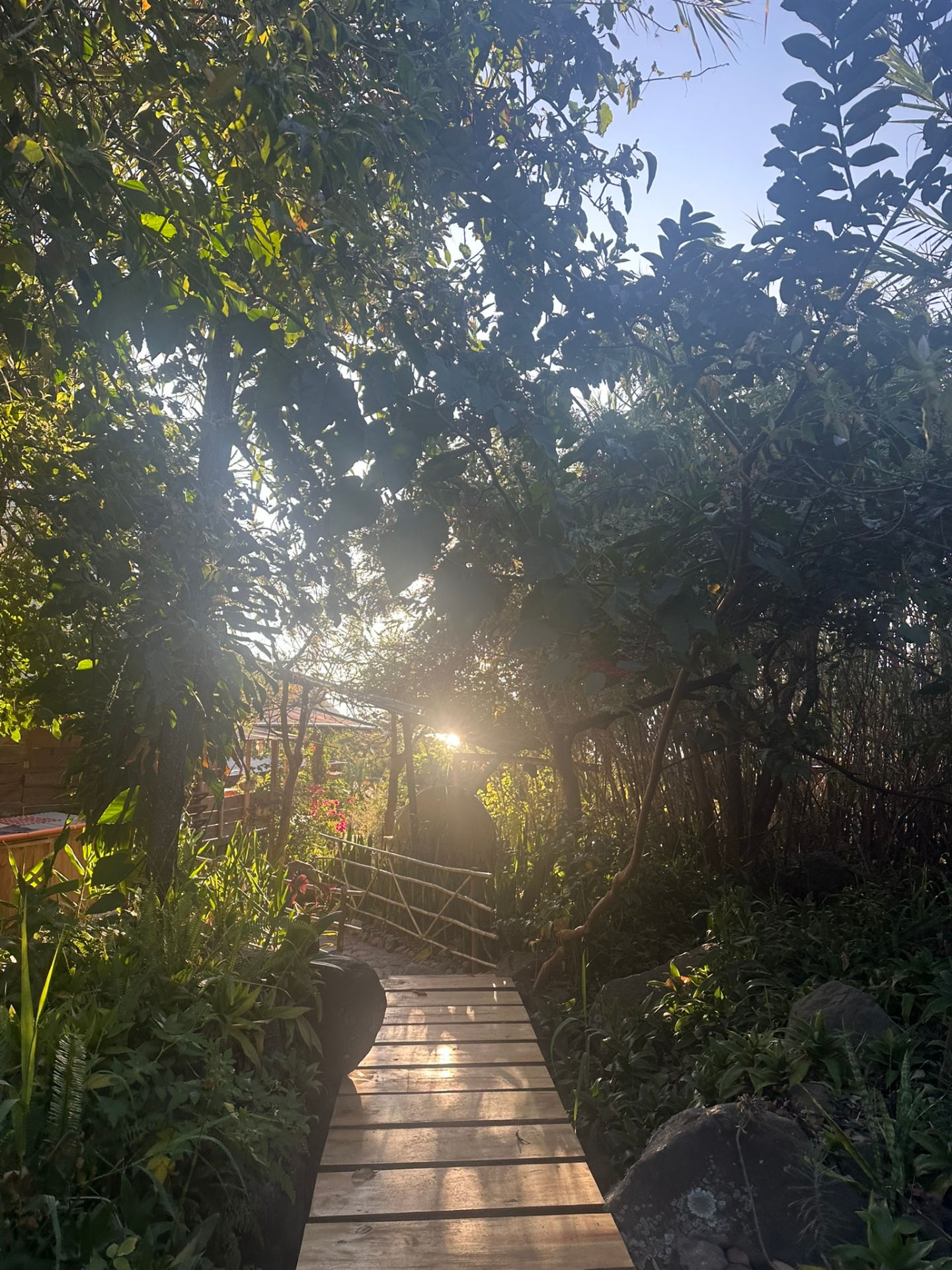 Garden path